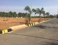 5 marla plot in eden velly